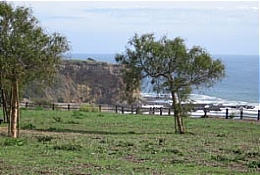 Abalone Cove Shoreline Park in Rancho Palos Verdes