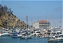 Boats & Yachts Docked At The Marina