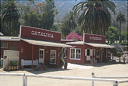 Catalina Stables 
