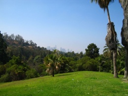 Elysian Park In Los Angeles