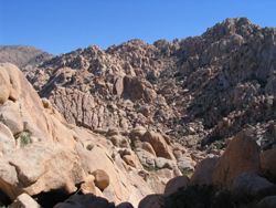 Joshua Tree National Park