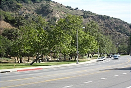 Temescal Canyon Road in the Pacific Palisades