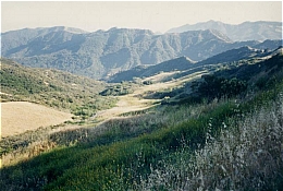 Topanga State Park